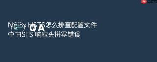 Nginx HSTS怎么排查配置文件中 HSTS 响应头拼写错误