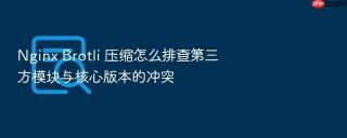 nginx brotli 压缩怎么排查第三方模块与核心版本的冲突