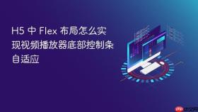 h5 中 flex 布局怎么实现视频播放器底部控制条自适应