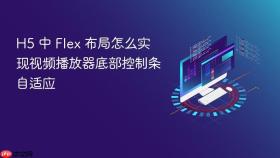 H5 中 Flex 布局怎么实现视频播放器底部控制条自适应