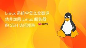 linux 系统中怎么全面评估并加固 linux 服务器的 ssh 访问矩阵