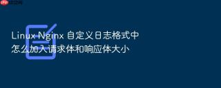 linux nginx 自定义日志格式中怎么加入请求体和响应体大小