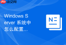 Windows Server 系统中怎么配置系统的页面文件大小优化内存性能