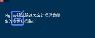 Nginx 限流限速怎么处理恶意爬虫的高频扫描防护