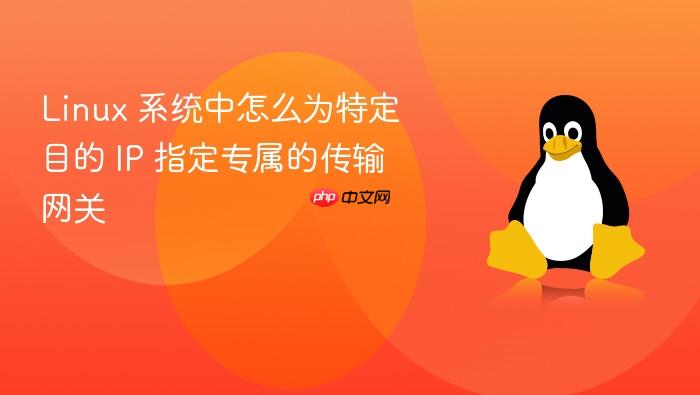 linux 系统中怎么为特定目的 ip 指定专属的传输网关