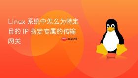 linux 系统中怎么为特定目的 ip 指定专属的传输网关