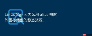 Linux Nginx 怎么用 alias 映射外置存储盘的静态资源