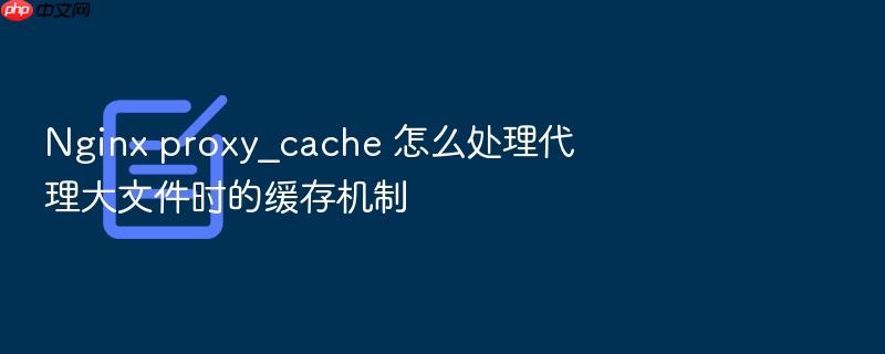 nginx proxy_cache 怎么处理代理大文件时的缓存机制