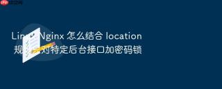 linux nginx 怎么结合 location 规则只对特定后台接口加密码锁