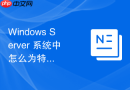 Windows Server 系统中怎么为特定应用程序配置专用的环境变量