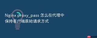 Nginx proxy_pass 怎么在代理中保持客户端原始请求方式