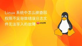 Linux 系统中怎么排查因权限不足导致错误日志文件无法写入的故障