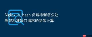Nginx ip_hash 负载均衡怎么处理非标准端口请求的哈希计算
