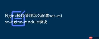 nginx模块管理怎么配置set-misc-nginx-module模块