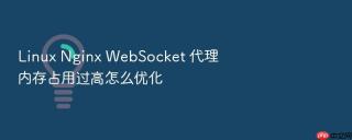 Linux Nginx WebSocket 代理内存占用过高怎么优化