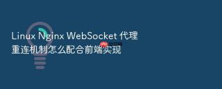 linux nginx websocket 代理重连机制怎么配合前端实现