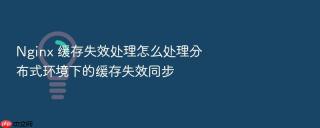 nginx 缓存失效处理怎么处理分布式环境下的缓存失效同步