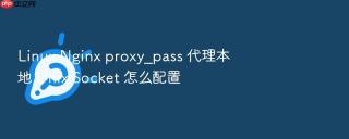Linux Nginx proxy_pass 代理本地 Unix Socket 怎么配置
