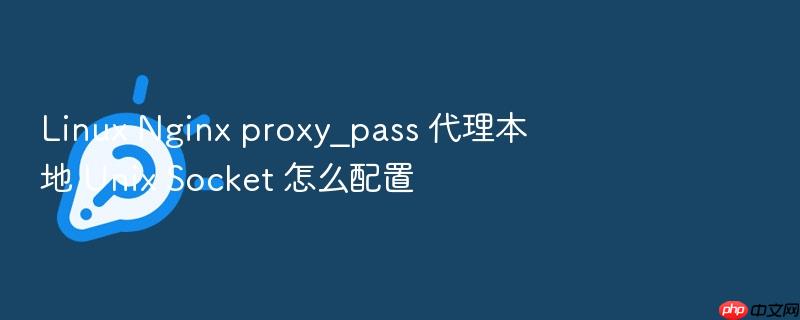 linux nginx proxy_pass 代理本地 unix socket 怎么配置