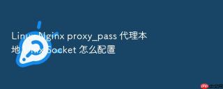 linux nginx proxy_pass 代理本地 unix socket 怎么配置