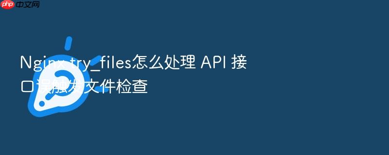 nginx try_files怎么处理 api 接口误触发文件检查