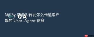 nginx 请求头转发怎么传递客户端的 user-agent 信息