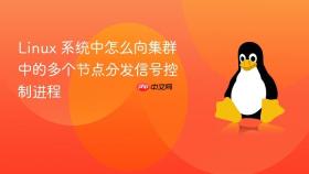 linux 系统中怎么向集群中的多个节点分发信号控制进程