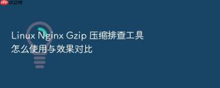 Linux Nginx Gzip 压缩排查工具怎么使用与效果对比