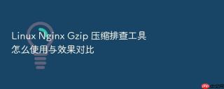 linux nginx gzip 压缩排查工具怎么使用与效果对比