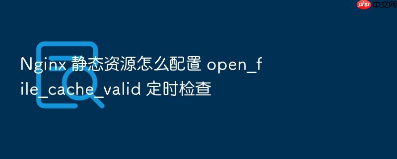 nginx 静态资源怎么配置 open_file_cache_valid 定时检查