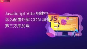 JavaScript Vite 构建中怎么配置外部 CDN 加速第三方库加载
