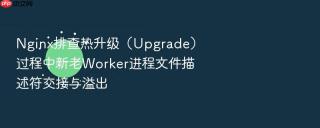 nginx排查热升级（upgrade）过程中新老worker进程文件描述符交接与溢出