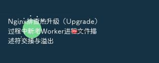 Nginx排查热升级（Upgrade）过程中新老Worker进程文件描述符交接与溢出