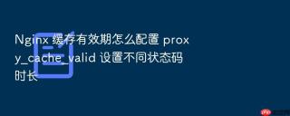 nginx 缓存有效期怎么配置 proxy_cache_valid 设置不同状态码时长