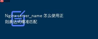 nginx server_name 怎么使用正则表达式精准匹配