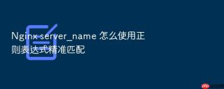 Nginx server_name 怎么使用正则表达式精准匹配