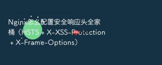 Nginx怎么配置安全响应头全家桶（HSTS + X-XSS-Protection + X-Frame-Options）