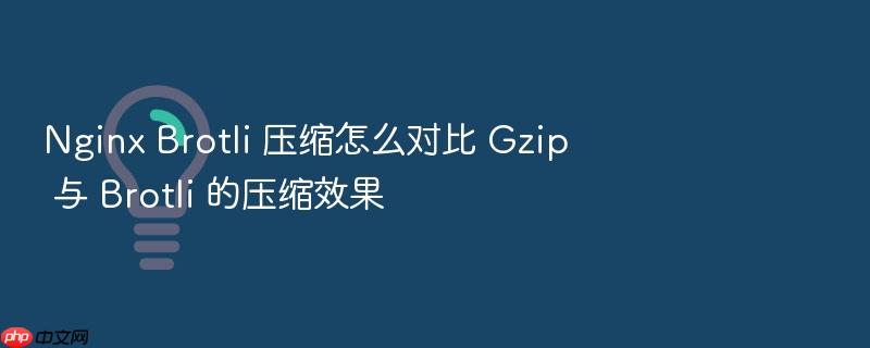 nginx brotli 压缩怎么对比 gzip 与 brotli 的压缩效果