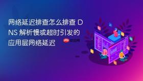 网络延迟排查怎么排查 DNS 解析慢或超时引发的应用层网络延迟