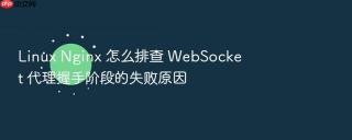 Linux Nginx 怎么排查 WebSocket 代理握手阶段的失败原因