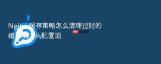 Nginx 缓存策略怎么清理过时的缓存响应头配置项