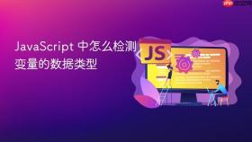 javascript 中怎么检测变量的数据类型