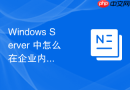 Windows Server 中怎么在企业内部构建高可用的全方位网络诊断体系