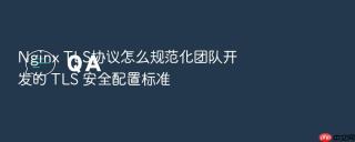 Nginx TLS协议怎么规范化团队开发的 TLS 安全配置标准