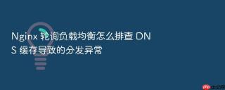 Nginx 轮询负载均衡怎么排查 DNS 缓存导致的分发异常