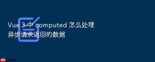 Vue 3 中 computed 怎么处理异步请求返回的数据