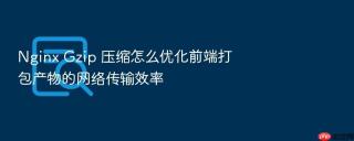 Nginx Gzip 压缩怎么优化前端打包产物的网络传输效率