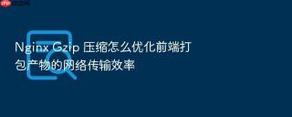 nginx gzip 压缩怎么优化前端打包产物的网络传输效率