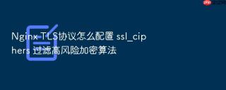 Nginx TLS协议怎么配置 ssl_ciphers 过滤高风险加密算法
