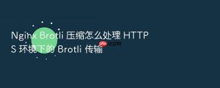 Nginx Brotli 压缩怎么处理 HTTPS 环境下的 Brotli 传输
